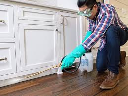 Best Pest Prevention Services  in Coon Rapids, MN